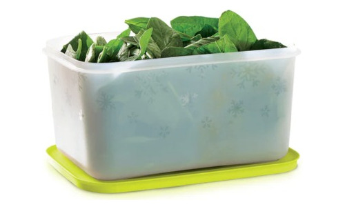 Tupper Para Refrigerador Tupperware