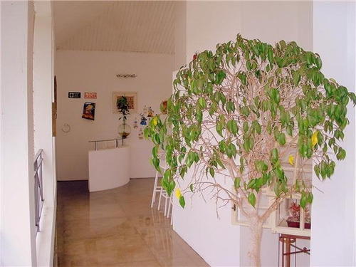 Imagem 11 de 28 de Casa Com 4 Dormitórios À Venda, 850 M² Por R$ 4.000.000,01 - Granja Viana - Cotia/sp - Ca2586