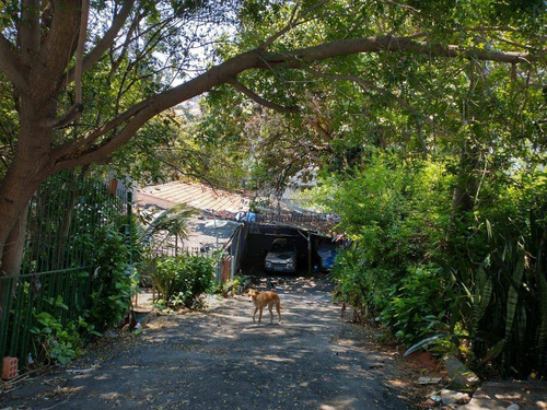 Imagem 23 de 24 de Terreno À Venda, 400 M² Por R$ 850.000,00 - Vila Mazzei - São Paulo/sp - Te0059