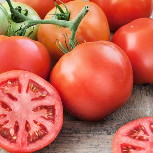 Semillas Tomate Redondo Larga Vida | La Huerta Orgánica