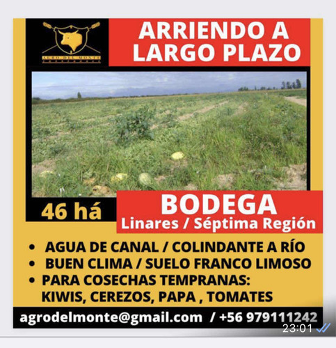 Campo En Arriendo A Largo Plazo 46ha, Sector Bodega, Linares