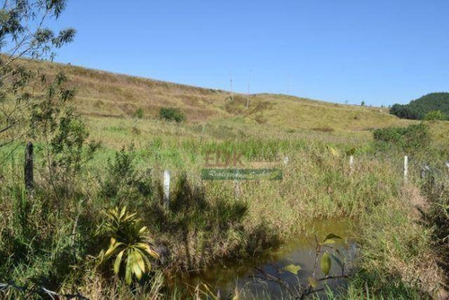 Imagem 3 de 18 de Chácara Com 2 Dormitórios À Venda, 8882 M² Por R$ 430.000,00 - Do Taboão - Mogi Das Cruzes/sp - Ch0301