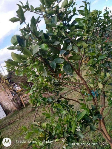 Imagem 8 de 29 de Chácara Com 3 Dormitórios À Venda, 1342 M² Por R$ 265.000,00 - Zona Rural - Munhoz/mg - Ch0155