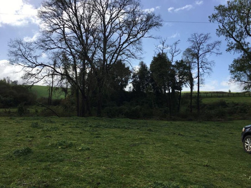 Hermosa Parcela En Rapaco Sector Los Canales La Union