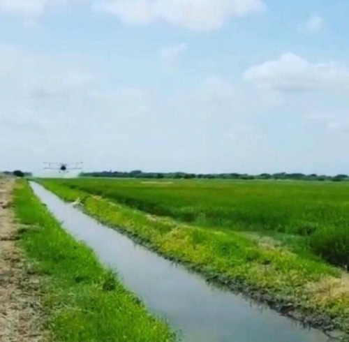 Imagen 3 de 4 de Finca En Venta, 280 Hectáreas, Calabozo, Guárico Wasi 3262164