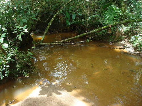 Imagem 7 de 14 de Terreno Em Camanducaia/mg