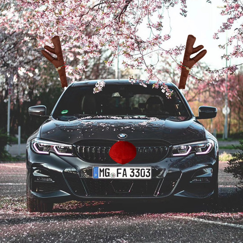 Cornamenta De Decoración Navideña Para Coches