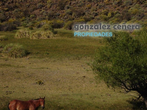 Venta Campo Ingeniero Jacobacci