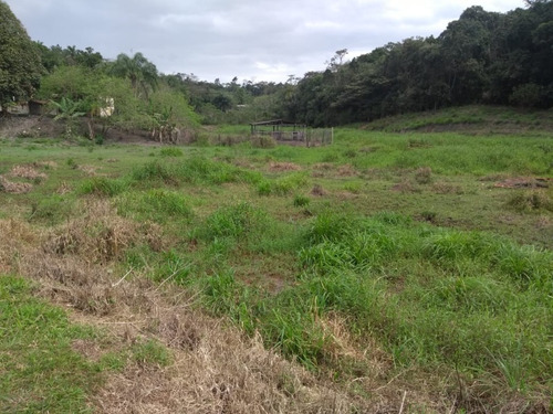 Imagem 18 de 30 de Sitio No Juquiá - St00024