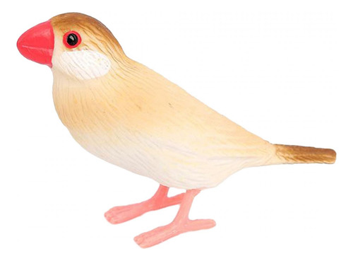 4 Modelo De Pájaro, Ciencia, Animales, Herramientas Estilo