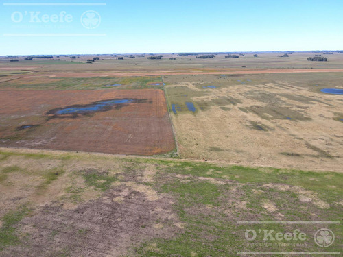Campo En Venta De 77 Has En Saladillo - Agricola Ganadero