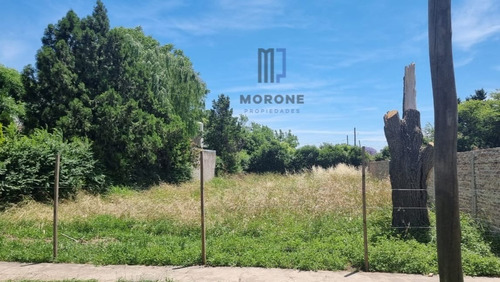 Lote A La Venta En Burzaco