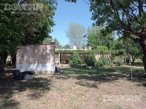 Imagen 27 de 27 de Campo - Punta De Agua