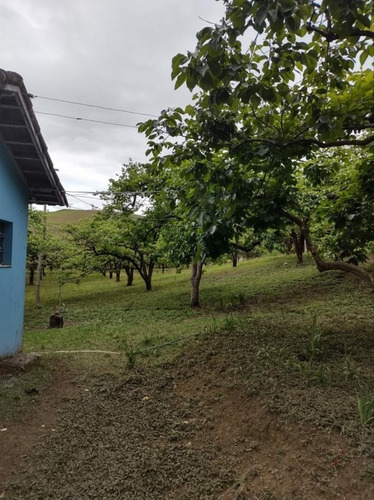Imagem 5 de 30 de Chácara Para Venda - Figueira Grande, Santa Branca - 10000m² - 2579