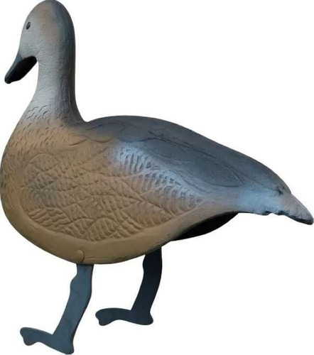 Chama Chamariz Marreca Caneleira Teche Pato Caça Unidade