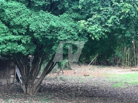 Imagem 23 de 23 de Chácara Residencial Para Venda / Locação No Bairro Ondas Em Piracicaba - Ch00082 - 34715201