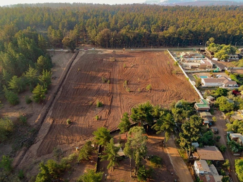 Sector Los Pinos, Reñaca. Terreno En Condominio Cerrado