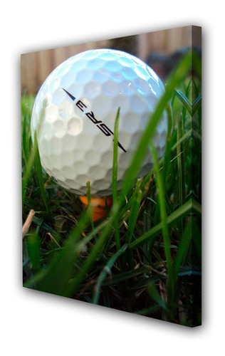 Cuadro 20x30cm Golf Deporte Golfista Cesped M3