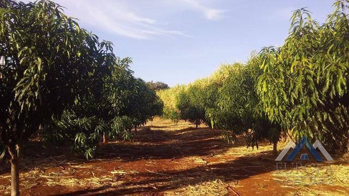 Imagem 2 de 13 de Sítio Com 2 Dormitórios À Venda, 32000 M² Por R$ 447.000,00 - Zona Rural - Jataizinho/pr - Si0010