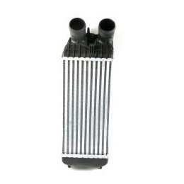 Intercooler Peugeot 301 1.6 Hdi 9803900780 Mb