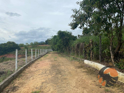 Imagem 8 de 8 de Chácara À Venda, 10000 M² Em Guarapari - Es. - Ch0014