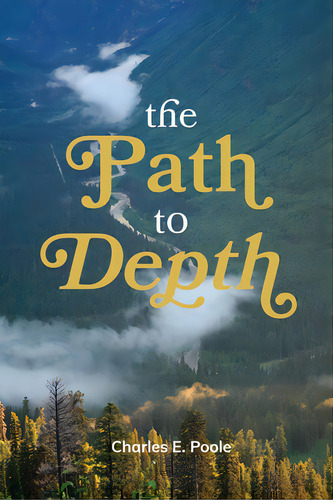 The Path To Depth, De Poole, Charles. Editorial Nurturing Faith Inc, Tapa Blanda En Inglés