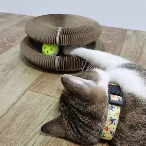 Brinquedo Arranhador De Gato Mágico Bola Guizo Dobrável Pet