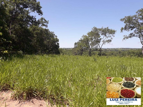 Imagem 1 de 5 de Fazenda À Venda Em Camapuã - Ms - De 415 Hectares (pecuária) - 1701