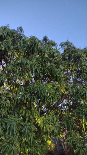 Casa Com 3 Cômodos E 1 Banheiro
