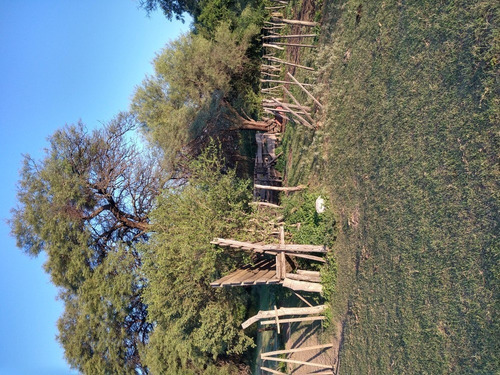 Imagen 12 de 19 de Excelente Campo En Chuchiras, San Javier
