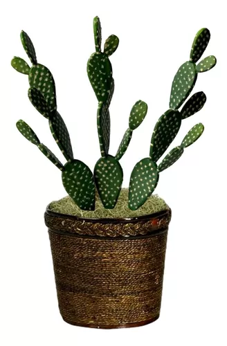 coleção de cactos e plantas da casa com caretas. conjunto de vasos