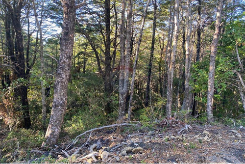 Venta Parcela Bosque Pucón