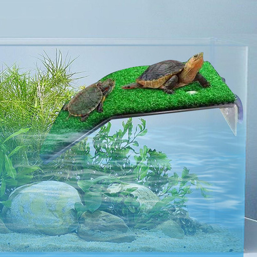 De Descanso Para Tortugas, Rampa De Tortugas De