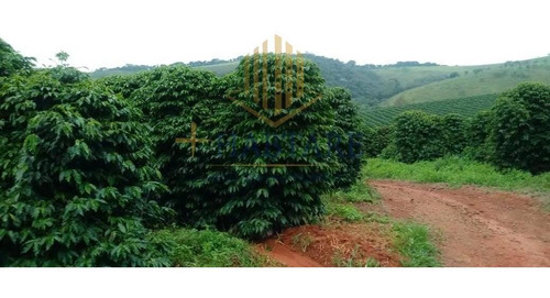 Imagem 5 de 15 de Fazenda Para Venda Em Ouro Fino, - - Fazenda 0_1-2221666