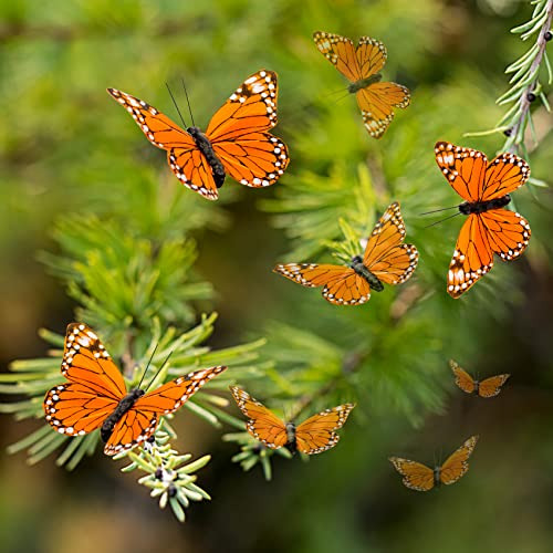 Serie  Land Mariposa Monarca Artificial; Mariposa Naran...