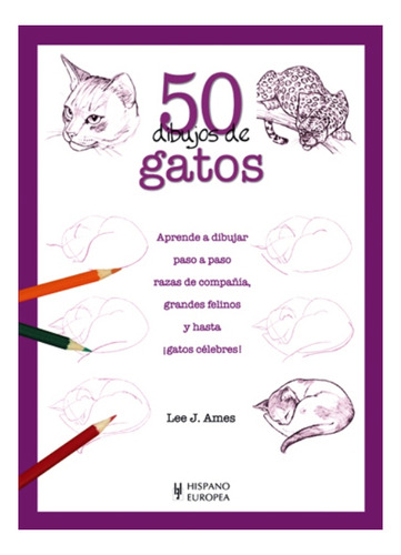 Gatos 50 Dibujos De