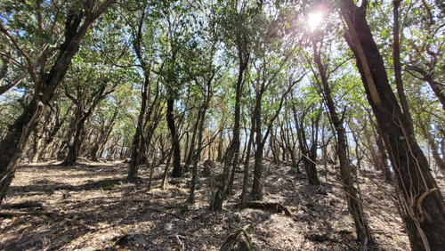 Venta De Terreno Campo En Las Sierras De Cordoba Unquillo Argentina