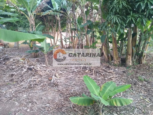 Imagem 9 de 10 de Lindo Terreno Com Topografia Plana!