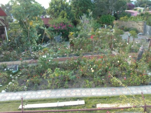 Imagen 22 de 30 de Terrenos En Venta Sanare Andres Eloy Blanco 22-21671 #m
