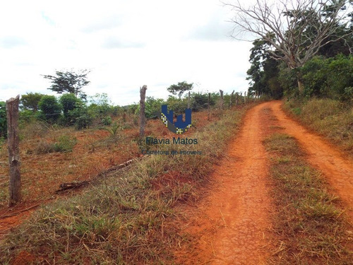 Terreno / Área Para Comprar No Zona Rural Em Jaboticatubas/mg - 547
