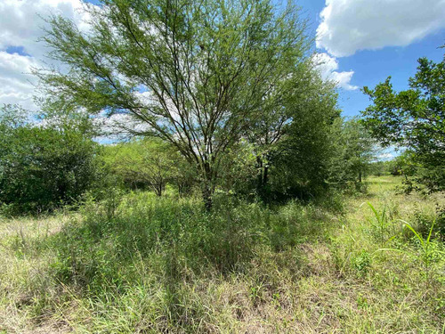 Imagen 3 de 9 de Terrenos En Venta En Las Palmas, Montemorelos