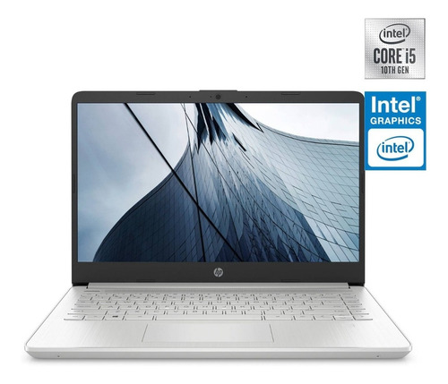 Notebook Hp 14-dq1004la Intel Core I5 8gb Ram 256gb Ssd 14 (Usado)