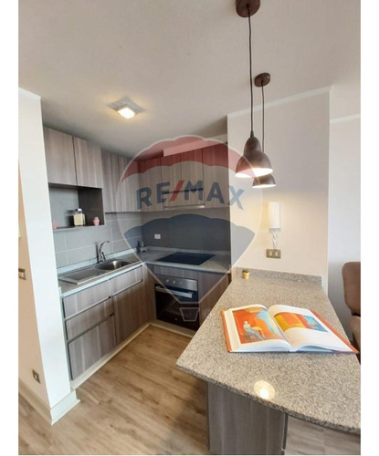 Dpto. En Arriendo 1d/1b/e.