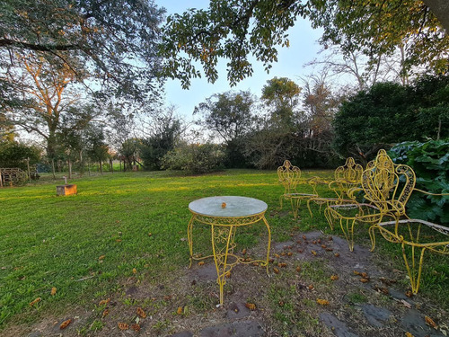Imagen 22 de 28 de Hermosa Quinta En Venta | 2 Dorm | Garage | Parrilla | Gral Belgrano