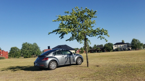 Volkswagen The Beetle 1.4 Design Dsg 2019