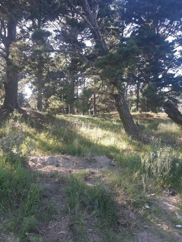 Imagen 5 de 6 de Venta De Estupendo Terreno En Villa Gesell