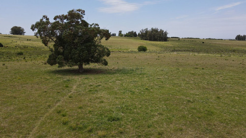 Chacra De 5 Ha Maldonado Con Cañada  (ref: Atm-7505)