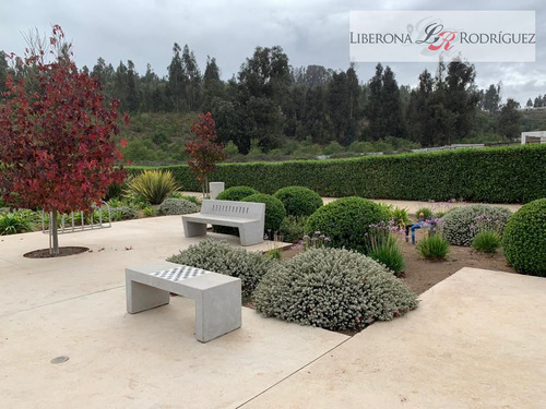 Sitio En Venta En Concón