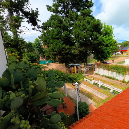 Imagen 15 de 15 de Chalet + Dpto 2 Ambientes Frias 995 San Bernardo