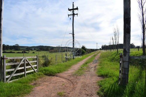 Imagen 6 de 16 de Chacras-venta-piriapolis-ch110